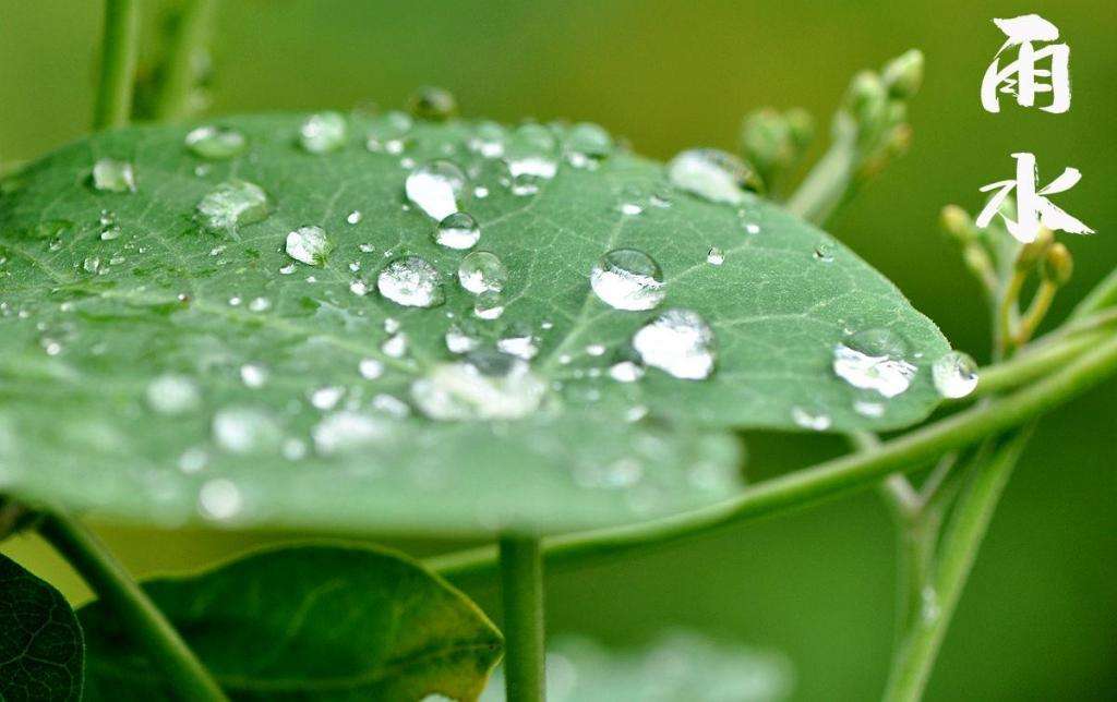 雨水潤萬物，兼顧沙與泥！